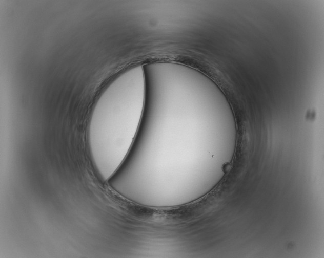 X0000114030641200910021042