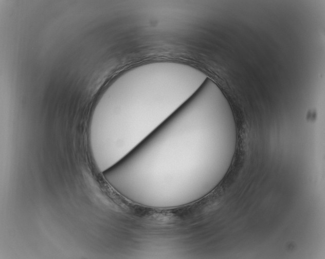 X0000114030642200910021042