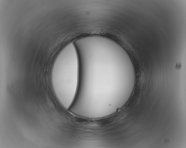 X0000114030643200910021042