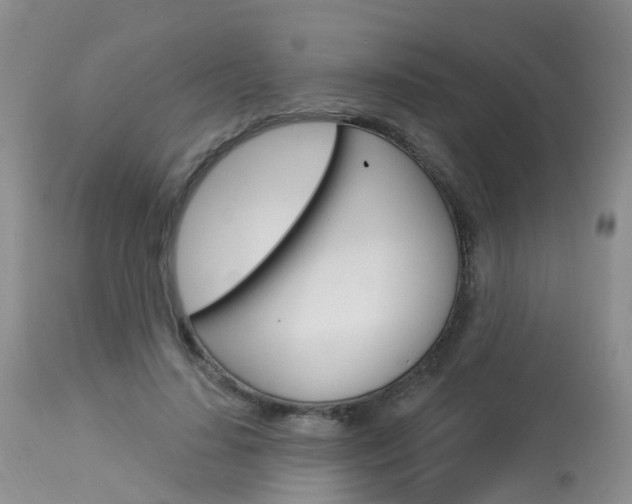 X0000114030644200910021042