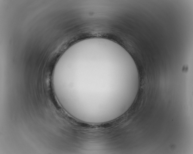 X0000114030646200910021042