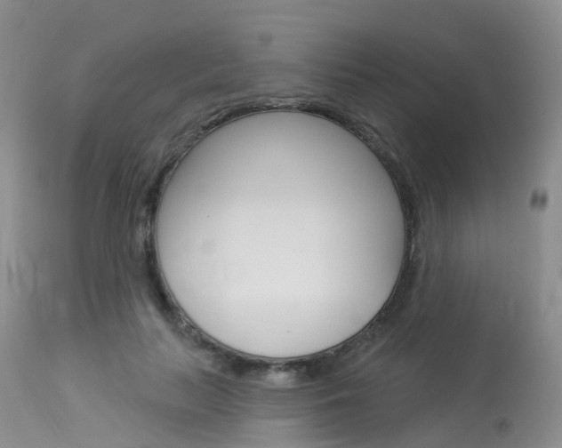 X0000114030647200910021042