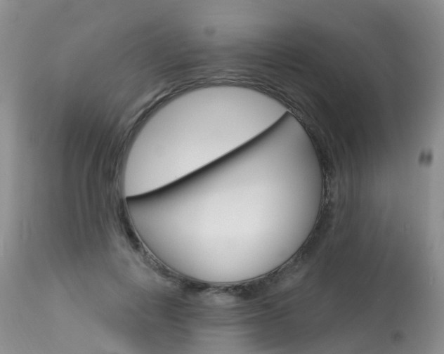 X0000114030648200910021042