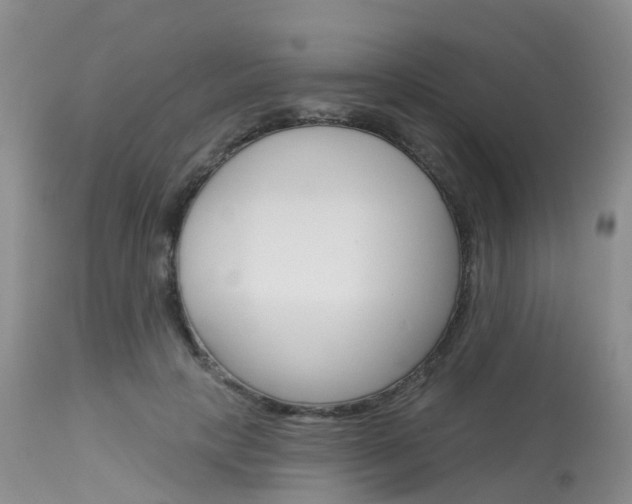X0000114030649200910021042