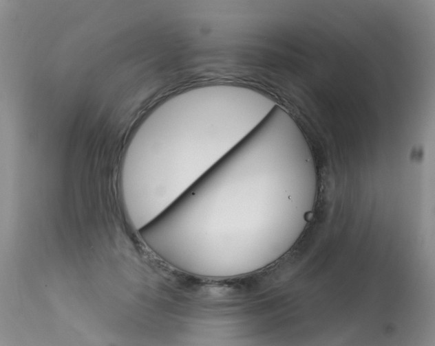 X0000114030650200910021042