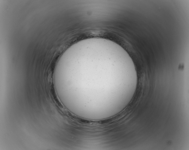 X0000114030651200910021042