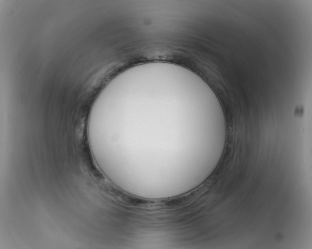 X0000114030652200910021042