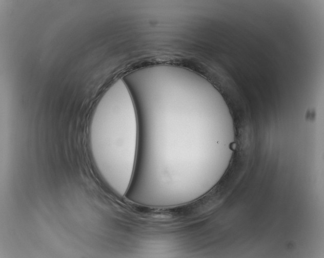 X0000114030653200910021042