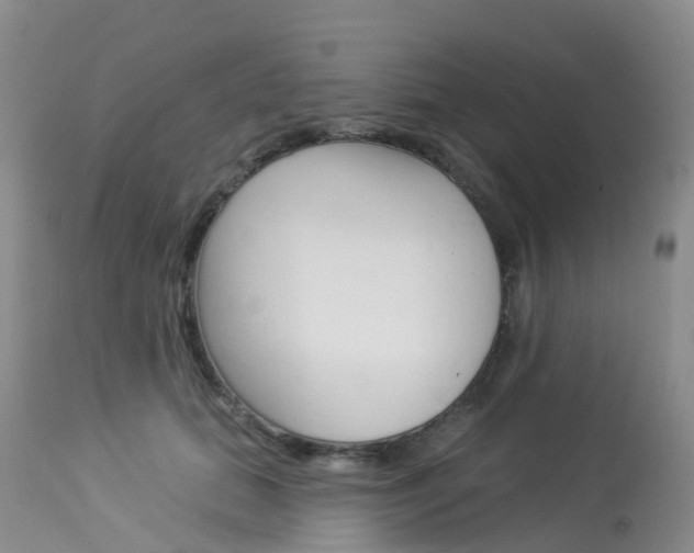 X0000114030655200910021042
