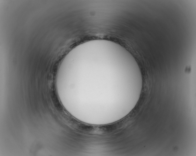 X0000114030656200910021042