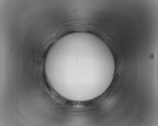 X0000114030658200910021042