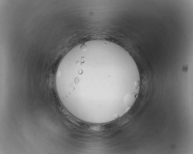 X0000114030659200910021042