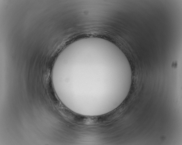 X0000114030660200910021042