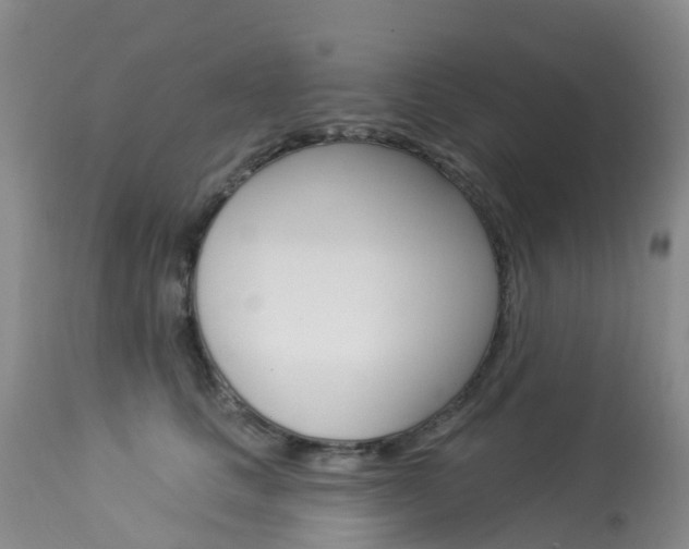 X0000114030661200910021042