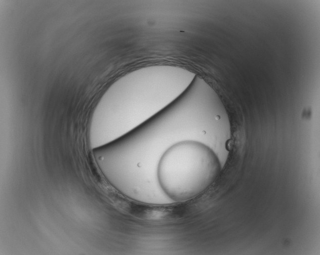 X0000114030662200910021042