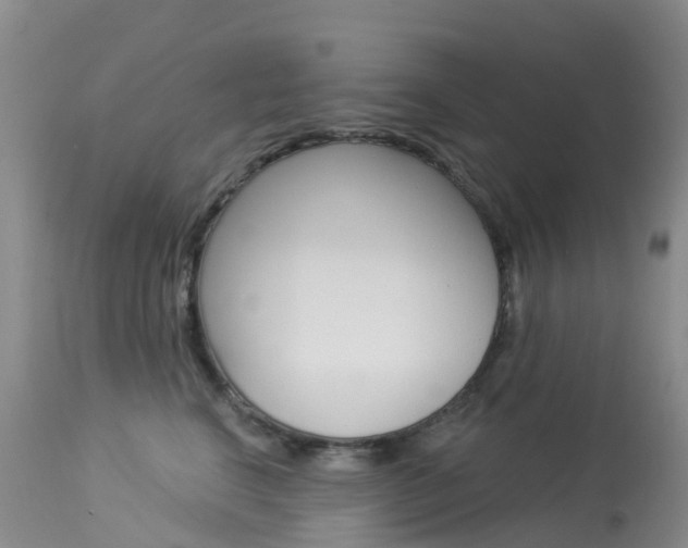X0000114030664200910021042