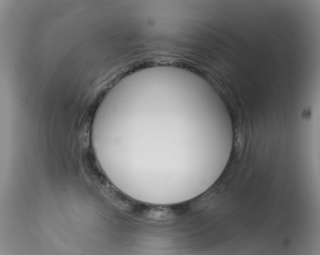 X0000114030666200910021042