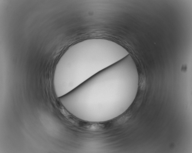 X0000114030670200910021042