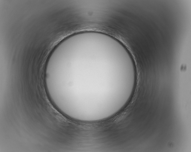 X0000114030673200910021041