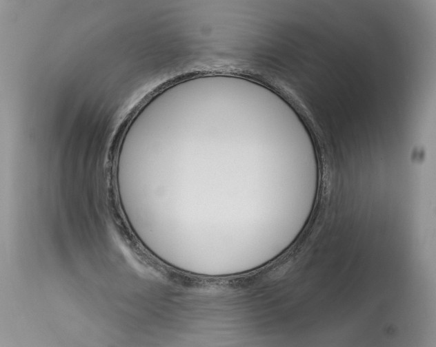 X0000114030674200910021041