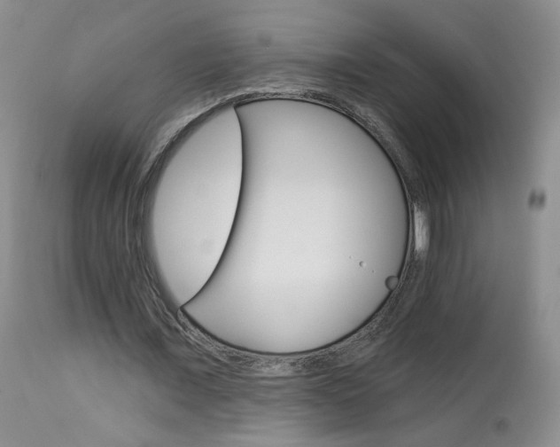 X0000114030675200910021041