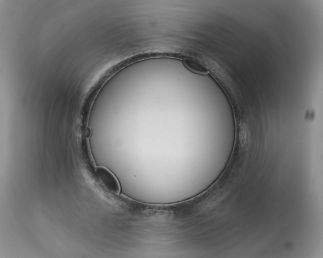 X0000114030676200910021041