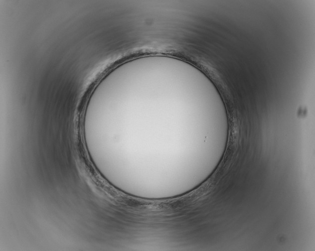 X0000114030678200910021041