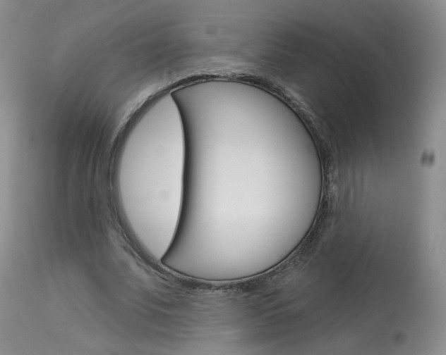X0000114030679200910021041
