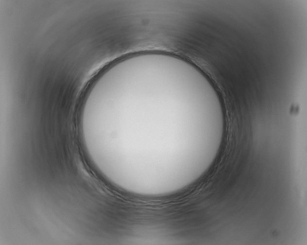 X0000114030680200910021041