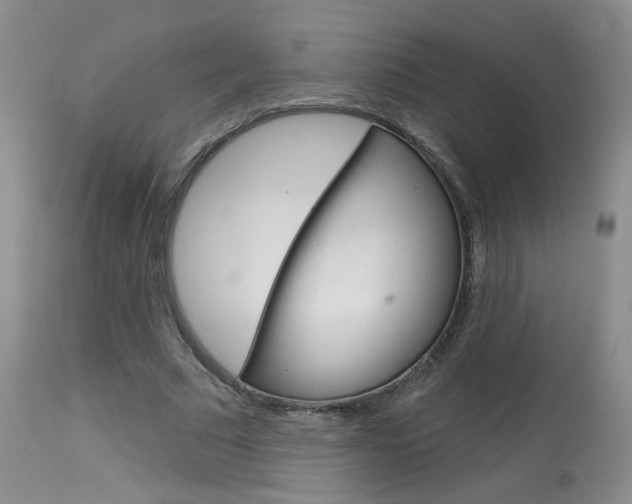 X0000114030681200910021041