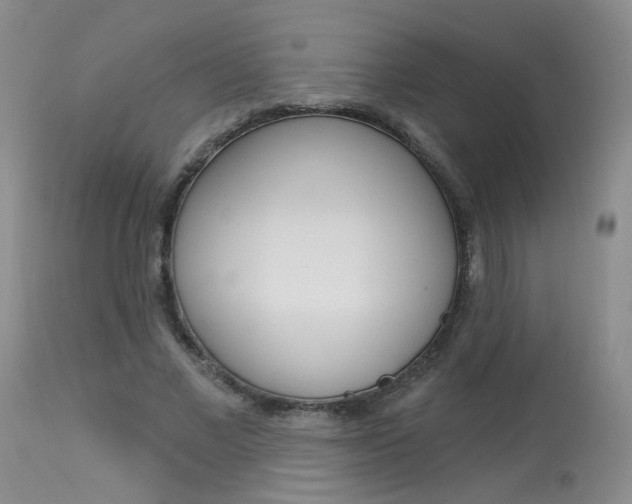 X0000114030685200910021041