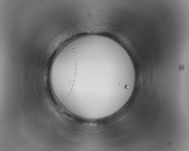 X0000114030687200910021041