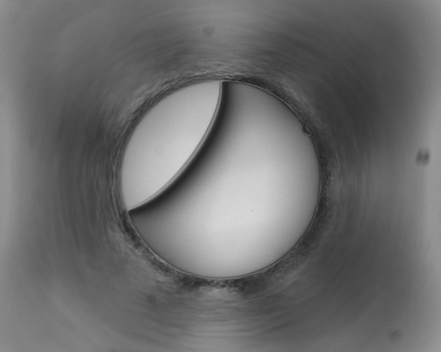 X0000114030689200910021041