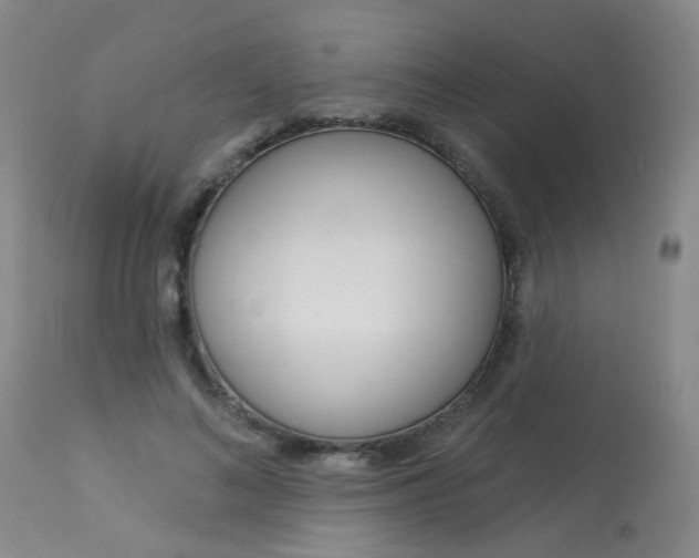 X0000114030692200910021041