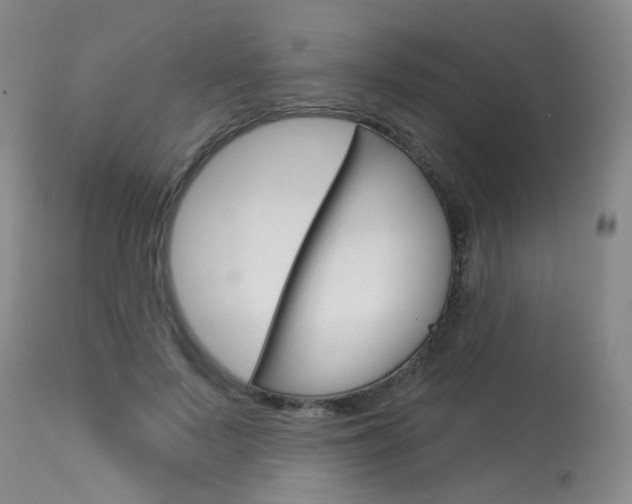 X0000114030695200910021041