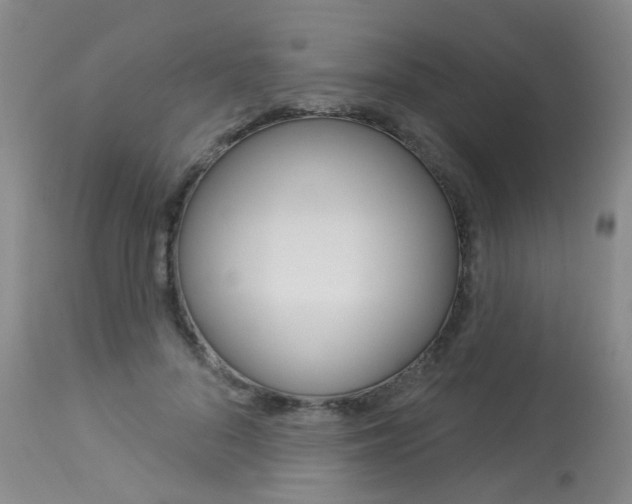 X0000114030696200910021041