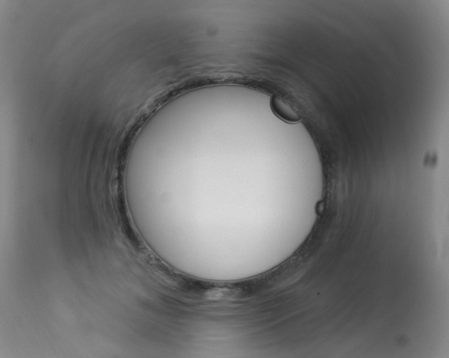 X0000114030700200910021041