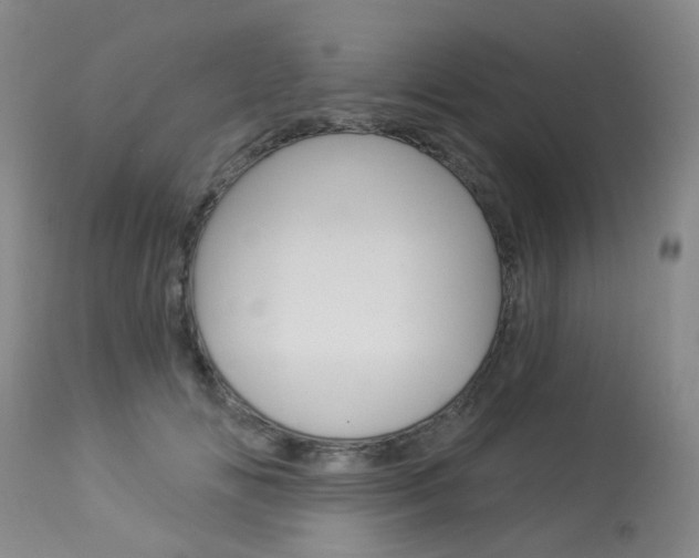 X0000114030702200910021041