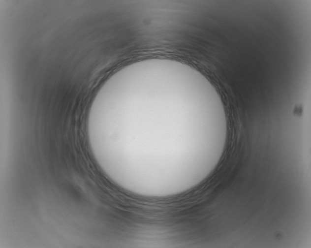 X0000114030705200910021041