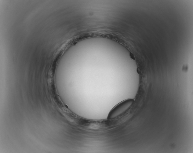 X0000114030708200910021041