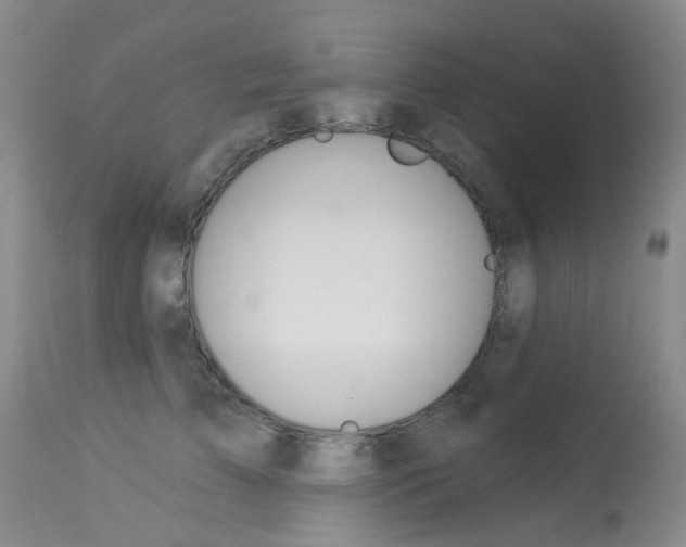 X0000114030709200910021041