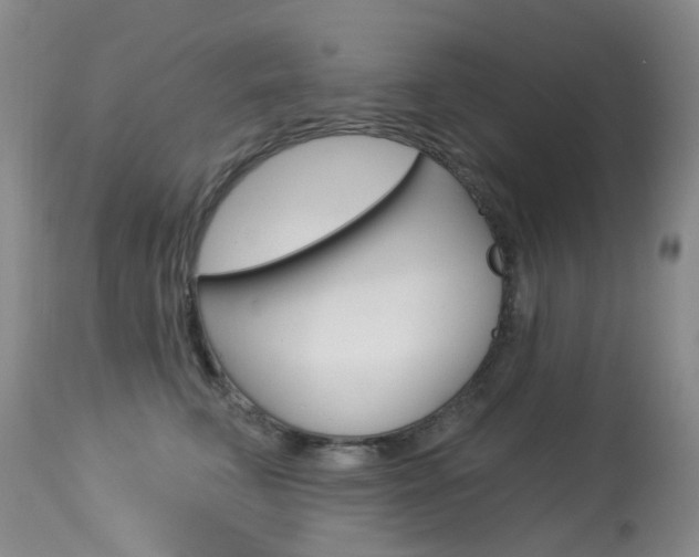 X0000114030711200910021041