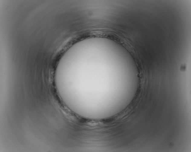 X0000114030712200910021041