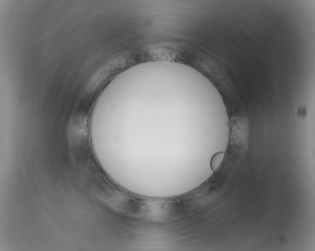 X0000114030713200910021041