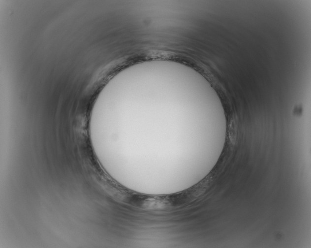 X0000114030714200910021041