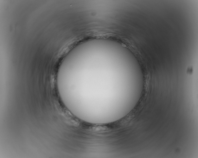 X0000114030716200910021041