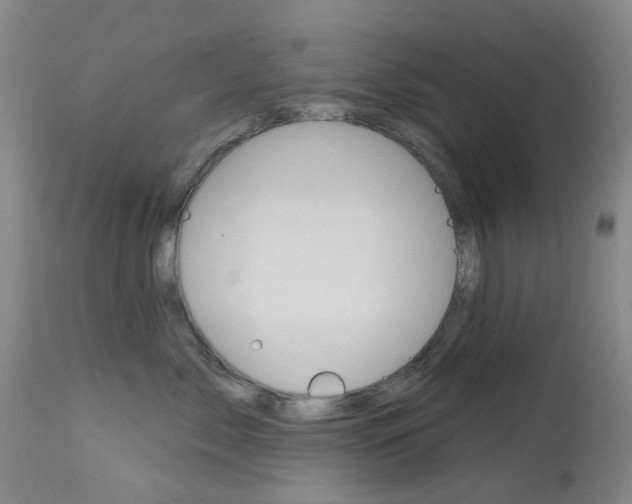 X0000114030717200910021041