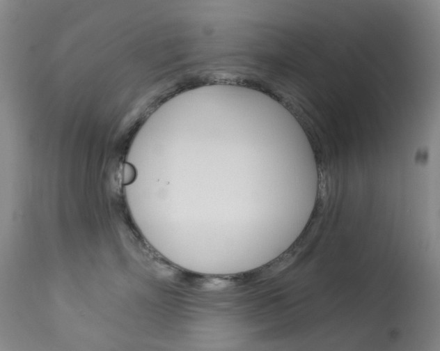 X0000114030718200910021041