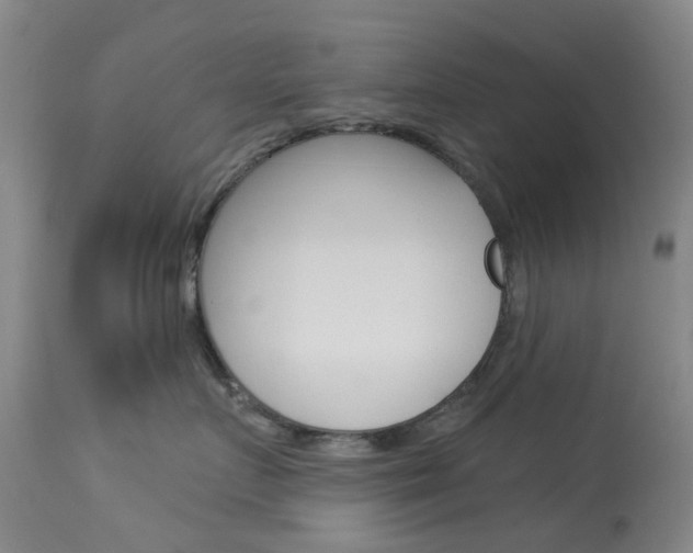 X0000114030719200910021041
