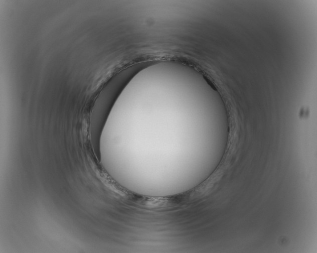 X0000114030720200910021041